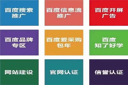 搜索引擎营销（SEM）服务案例分享