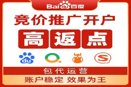 百度广告投放策略优化的经典案例